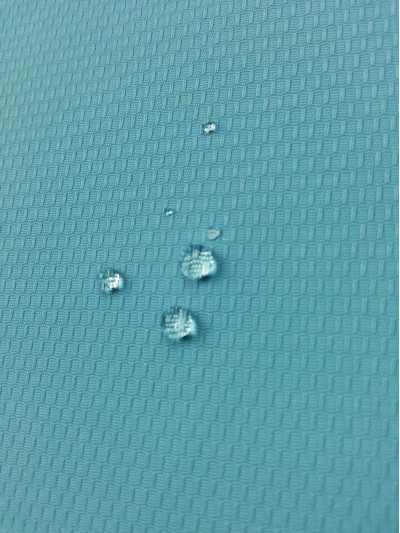 JS ZOYG 消光尼龍塔絲隆提花 後面照